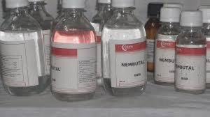 Køb Nembutal, promethazine hcl sirup, Fentanyl, Percocet, Klonopin