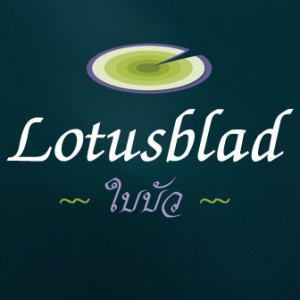 Massage - Forkælelses for krop og sjæl i hjertet af kolding