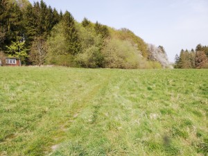 smuk landbrugsejendom på 4,2 ha nær Malmø, Sverige