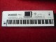 Korg Pa2 X Pro Entertainer Worksstation