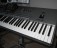 Korg Pa3X musiker, 76 taster